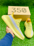 Adidas Yeezy 350 v2